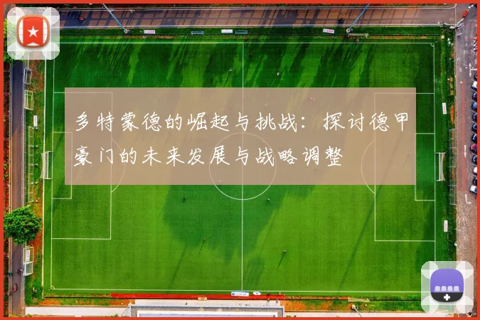 多特蒙德的崛起与挑战：探讨德甲豪门的未来发展与战略调整