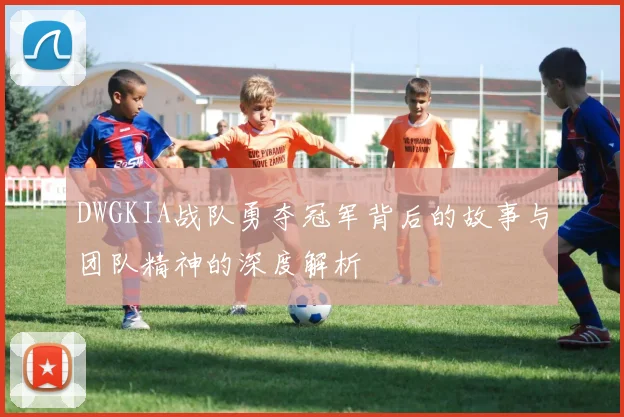 DWGKIA战队勇夺冠军背后的故事与团队精神的深度解析