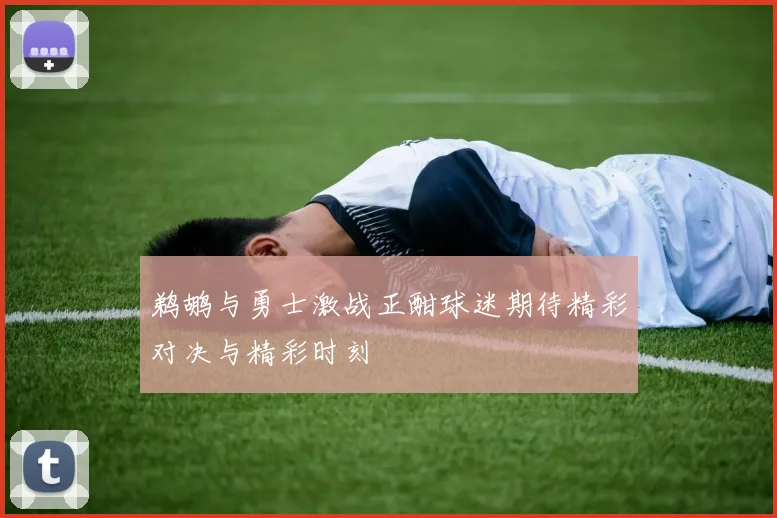 鹈鹕与勇士激战正酣球迷期待精彩对决与精彩时刻