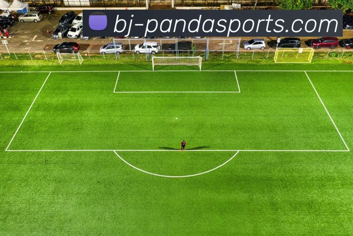 PANDA平台生态图